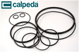CALPEDA FKM O-RING FROM 14002740000 - 14017750000