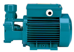Calpeda TP100 30H36S Peripherical Turbine Pump - 3.0HP, 230/460V