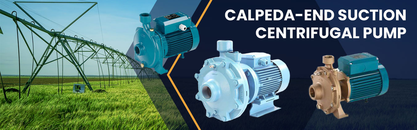 Calpeda End Suction Centrifugal Water Pumps