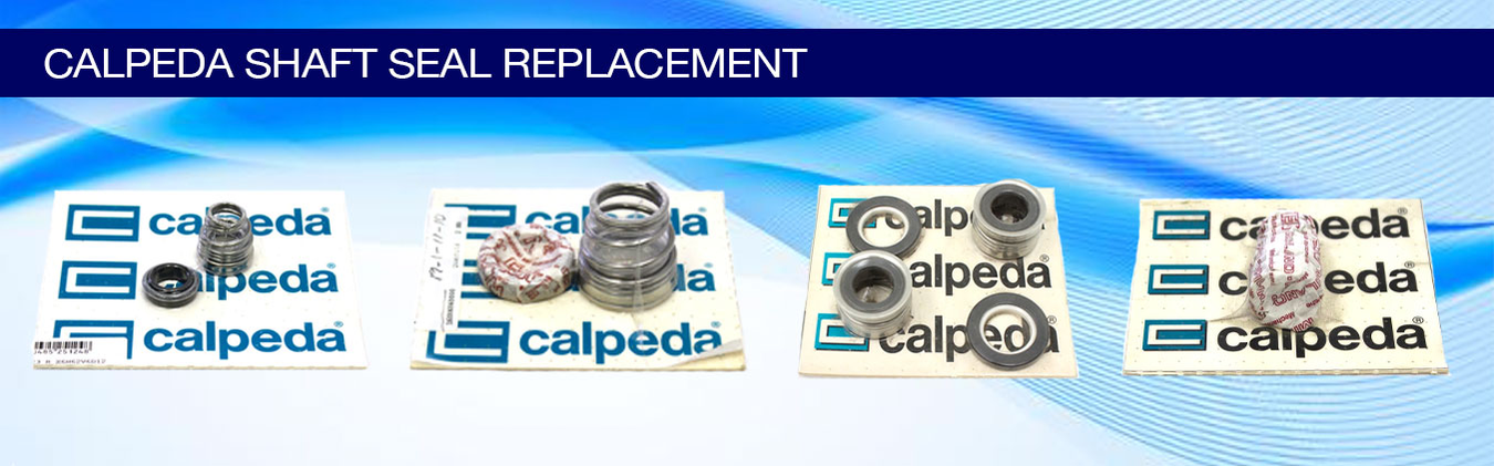 Calpeda Shaft Seal Replacement