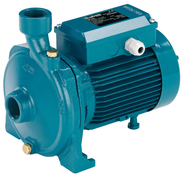 Calpeda NM25 End Suction Centrifugal Water Pump For Special Applications