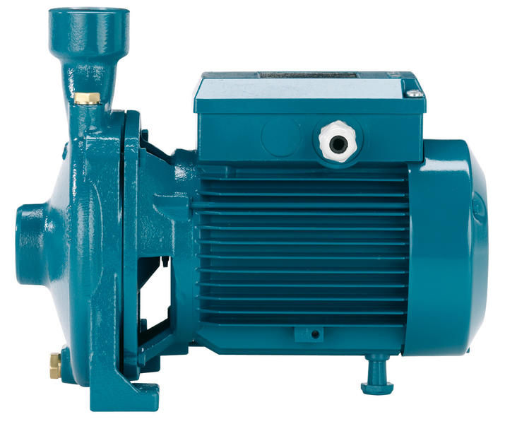 Calpeda NM25 End Suction Centrifugal Water Pump For Special Applications