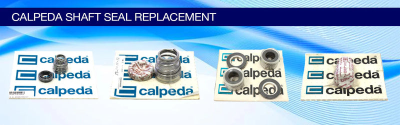 CALPEDA MECHANICAL SEAL ROTEN 2CAL FAG D12 (X1X1Y1R1V1Y1) XXYRVY