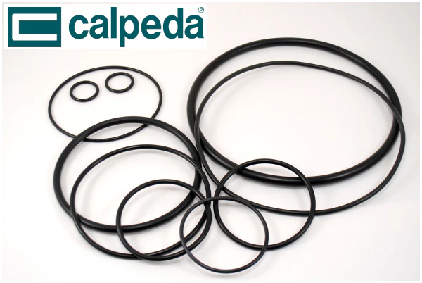 Calpeda O-RING from 14002600000 TO 14021300000