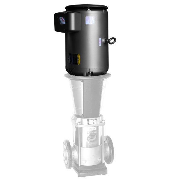 Pearl VPS Vertical Multistage Pump 115/230Volt, Single PH With NEMA ODP Motor