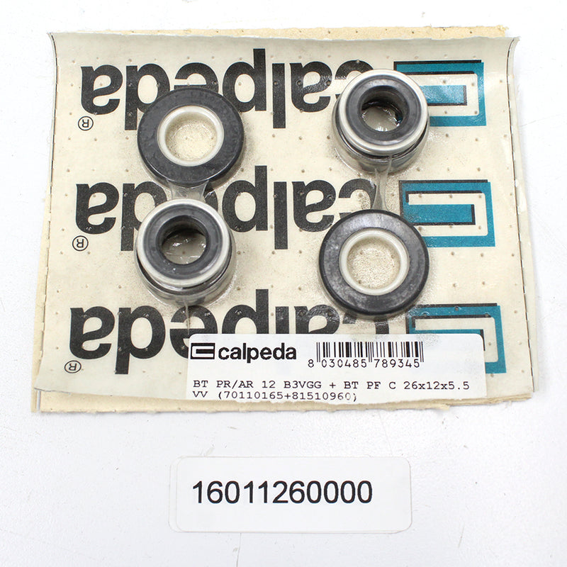 CALPEDA PUMP SHAFT SEAL REPLACEMENT - MECHANICAL SEAL FOR SULFUR WATER BT PR/AR 12 B3VGG - 16011260000