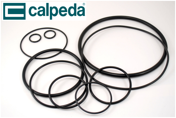 CALPEDA O-RING FROM 14002600000 TO 14021300000